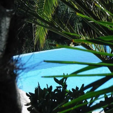 Lou Trelus Sainte-Maxime